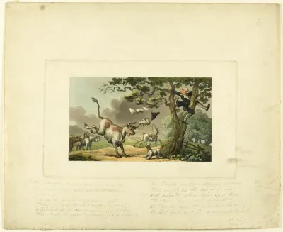 Doctor Syntax Pursued by a Bull, from The Tour of Doctor Syntax
