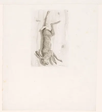 Dode haas