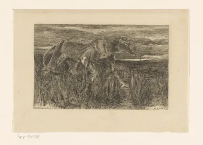 Dode muis, sandaal en boegbeeld van een schip