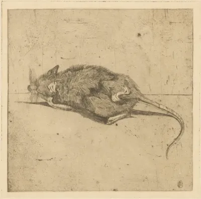 Dode muis
