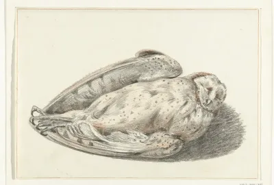 Dode uil