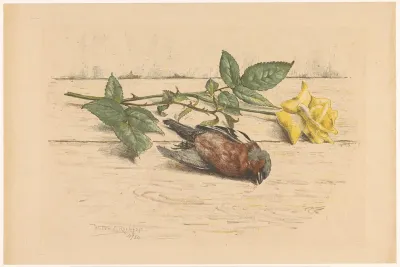 Dode vink liggend naast een roos