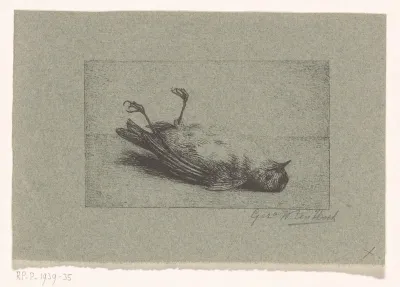 Dode vogel