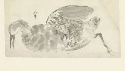 Dode watervogel