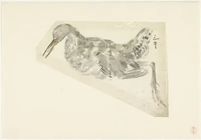 Dode watervogel