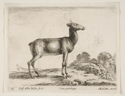 Doe, plate 15 from "Various Animals" (Diversi Animali)