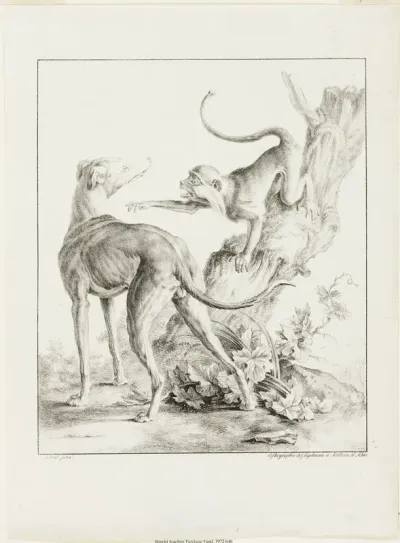 Dog and Monkey