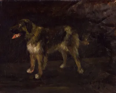 Dog study