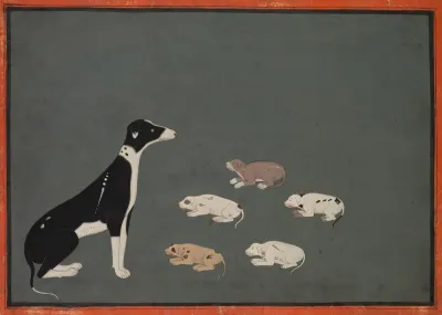 Dog with pups