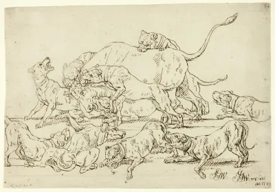 Dogs Attacking a Bull