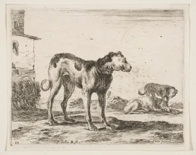 Dogs, plate 11 from "Various Animals" (Diversi Animali)