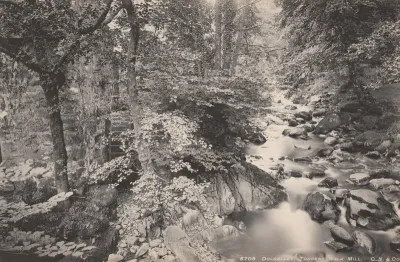 Dolgelley, Torrent Walk Mill