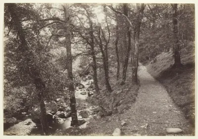 Dolgelley, View in Torrent Walk