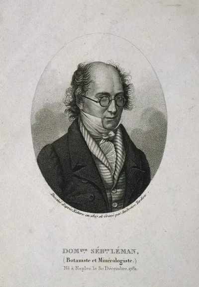 Dominique Léman