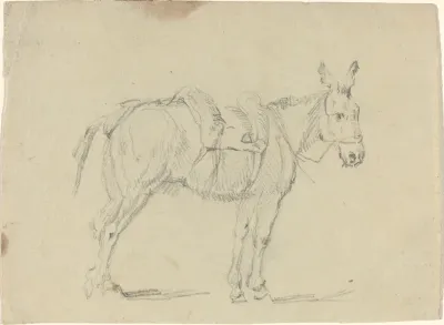 Donkey Stretching a Hind Leg