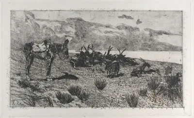 Donkeys on a seashore in winter