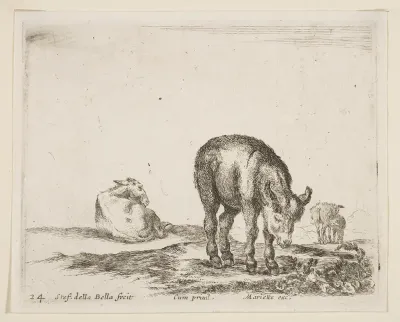 Donkeys, plate 24 from "Various Animals" (Diversi Animali)