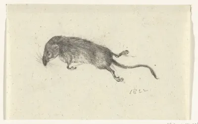 Dood muisje