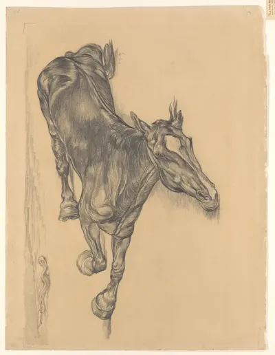 Dood paard