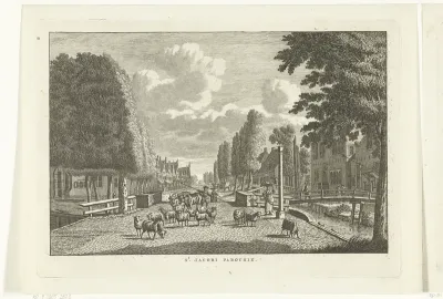 Dorpsgezicht met straat in Sint Jacobiparochie