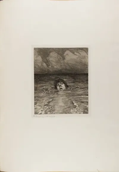 Downfall, plate twelve from A Life