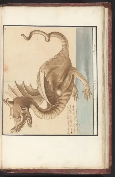 Draak