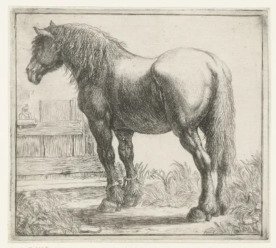 draft horse at a fence