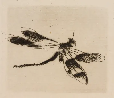 Dragonfly, plate 1 from Le Fleuve