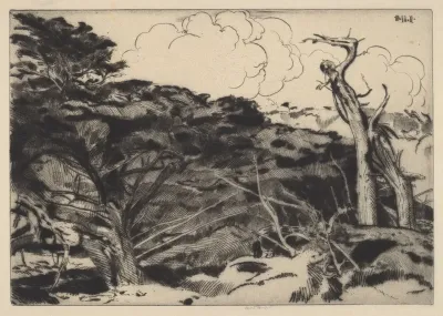 Dragons