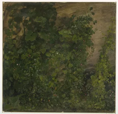 Drawing, Jungle Vegetation