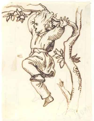 Dreng, der hænger på en gren i et træ