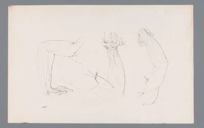 Drie anatomieën van een gebogen arm