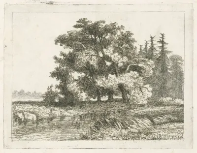Drie bomen aan de waterkant