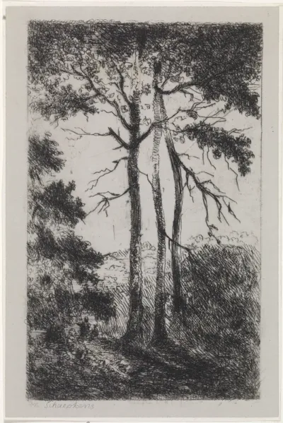 Drie bomen in een landschap