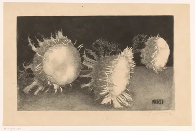 Drie distelbloemen