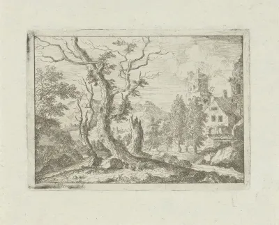 Drie dode bomen op een heuvel