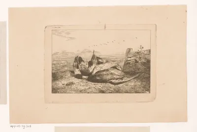 Drie dode vogels in het landschap