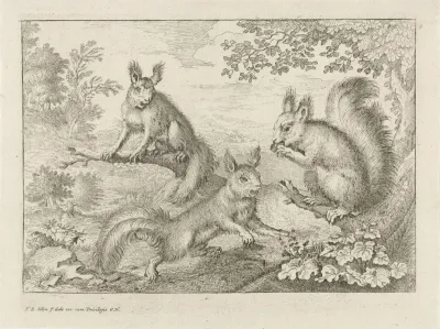 Drie eekhoorns in een landschap