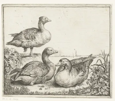 Drie ganzen