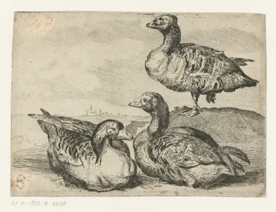 Drie ganzen