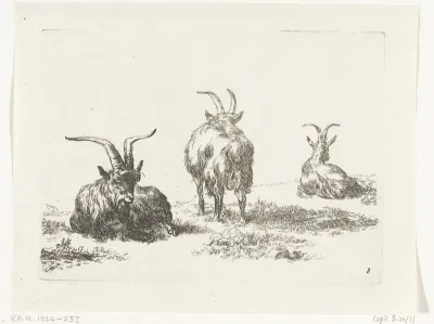Drie geiten