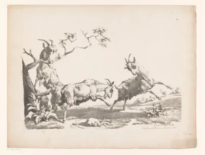 Drie geiten in een landschap