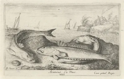Drie gevlekte pietermannen op het strand