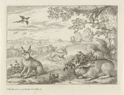 Drie hazen en twee eksters in een landschap