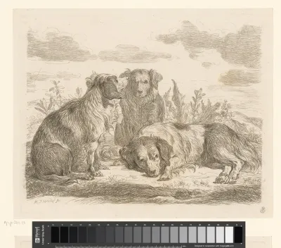 Drie honden