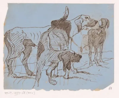 Drie honden
