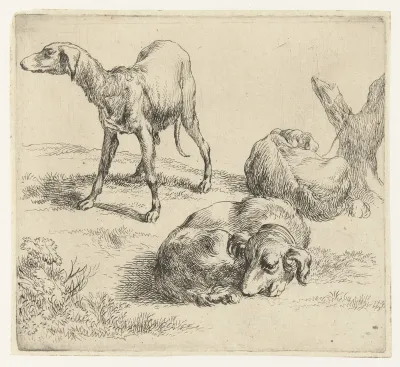Drie honden