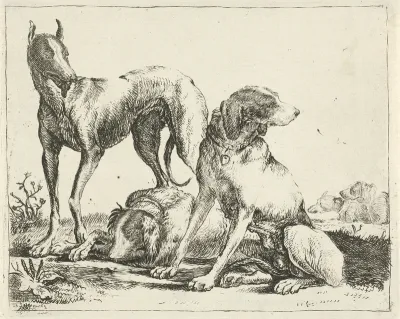 Drie honden