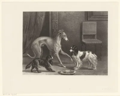 Drie honden