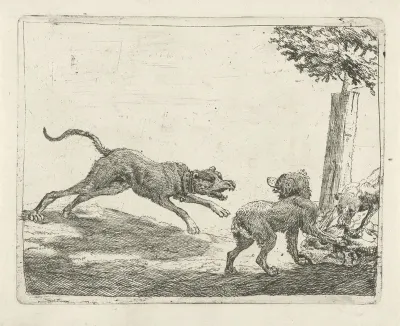 Drie honden bij een karkas